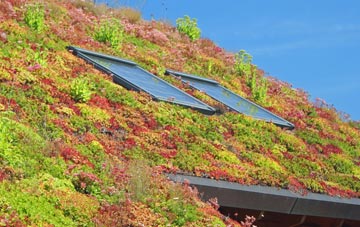 Easterton Sands living roof systems