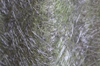 Easterton Sands fibreglass roof work